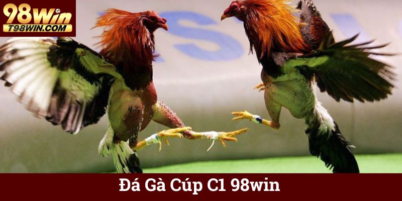 Đá Gà Cúp C1 98win